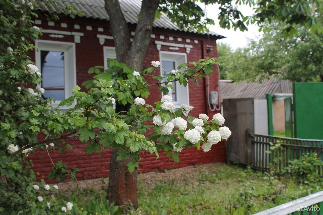 Купить Дом В Яковлевском Районе Село Дмитриевка