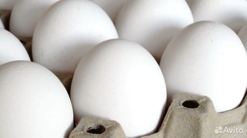 Яйцо куриное, домашнее купить на Зозу.ру - фотография № 3