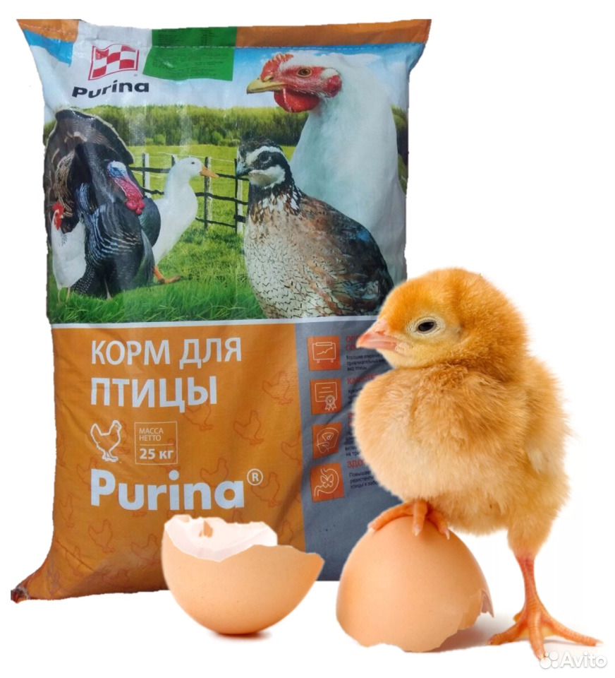 Комбикорм Purina для с/х птицы и животных купить на Зозу.ру - фотография № 3