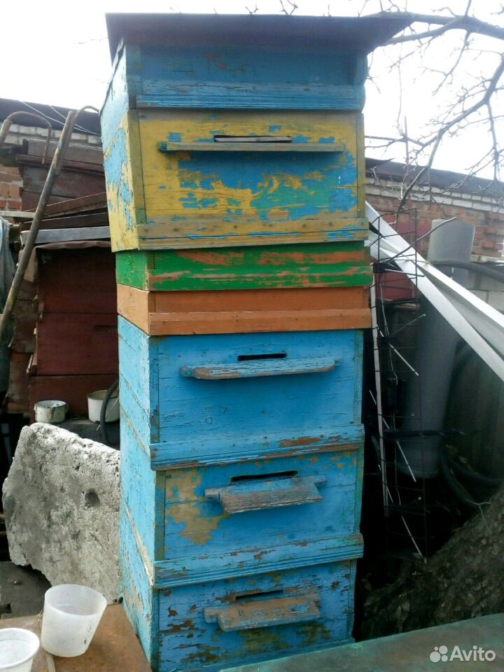 Ульи для пчёл купить на Зозу.ру - фотография № 1