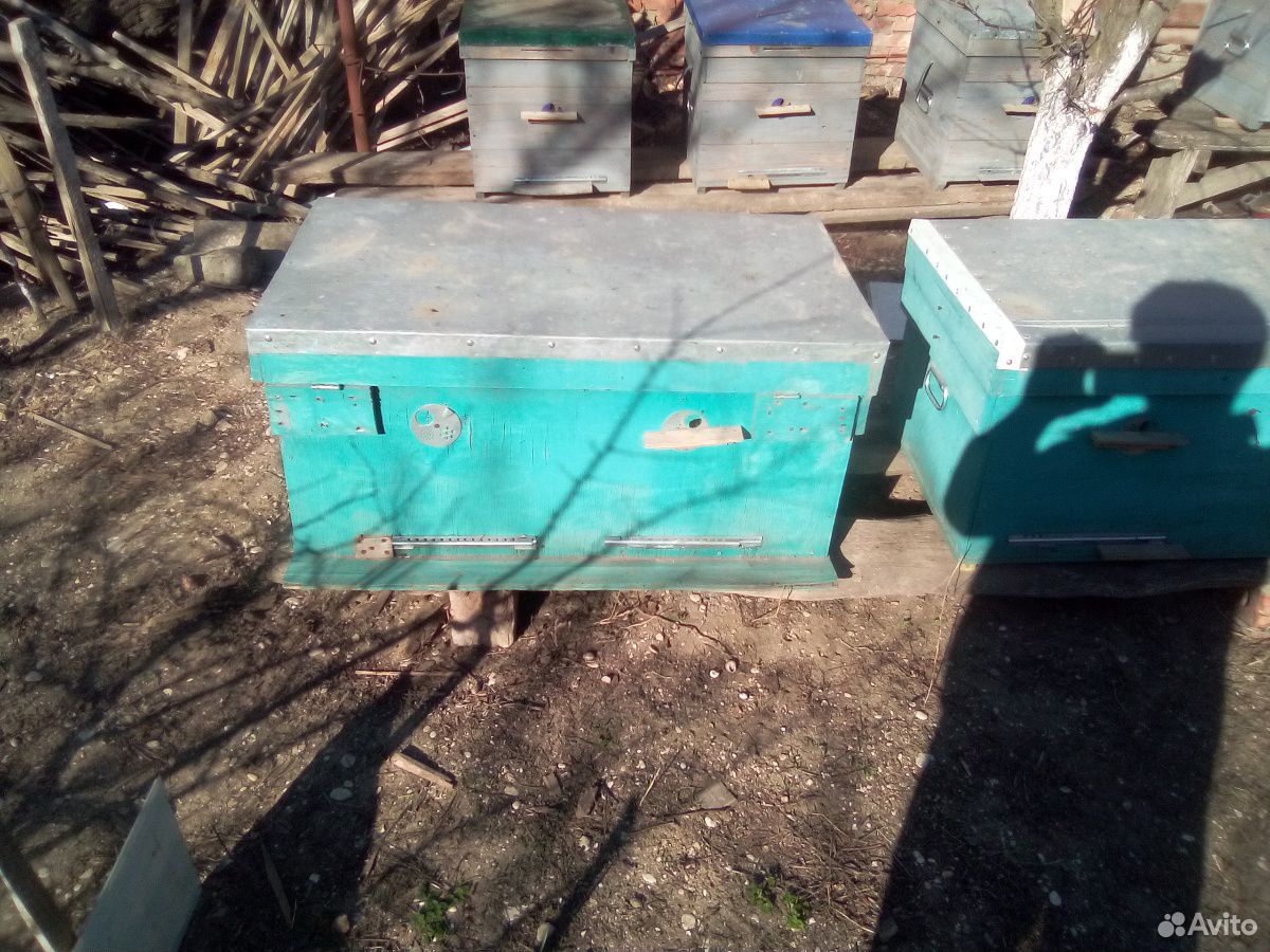 Улья для пчел купить на Зозу.ру - фотография № 2