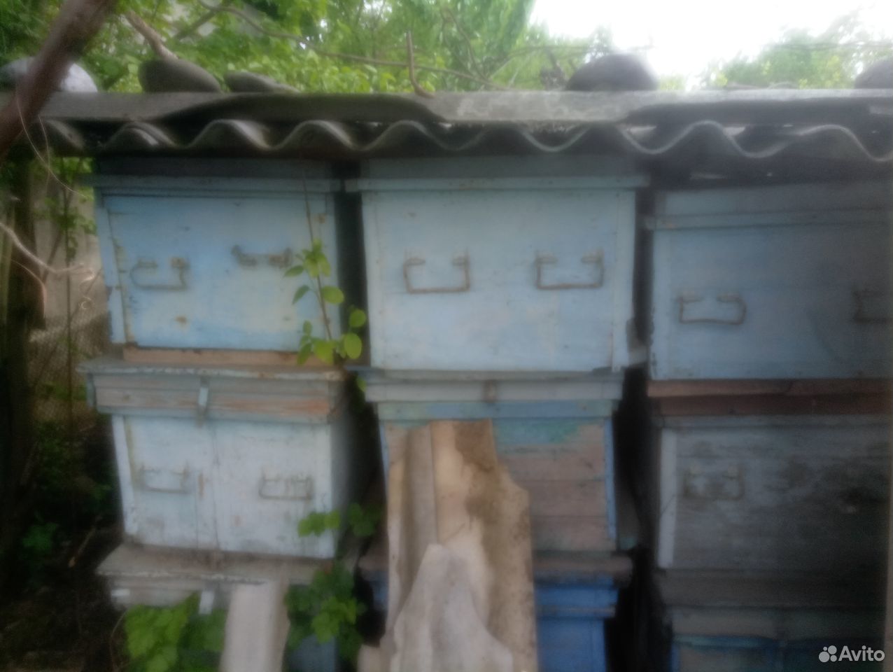 Пчелиные ящики купить на Зозу.ру - фотография № 4