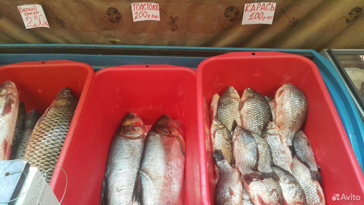 Рыба раки морепродукты специи купить на Зозу.ру - фотография № 10