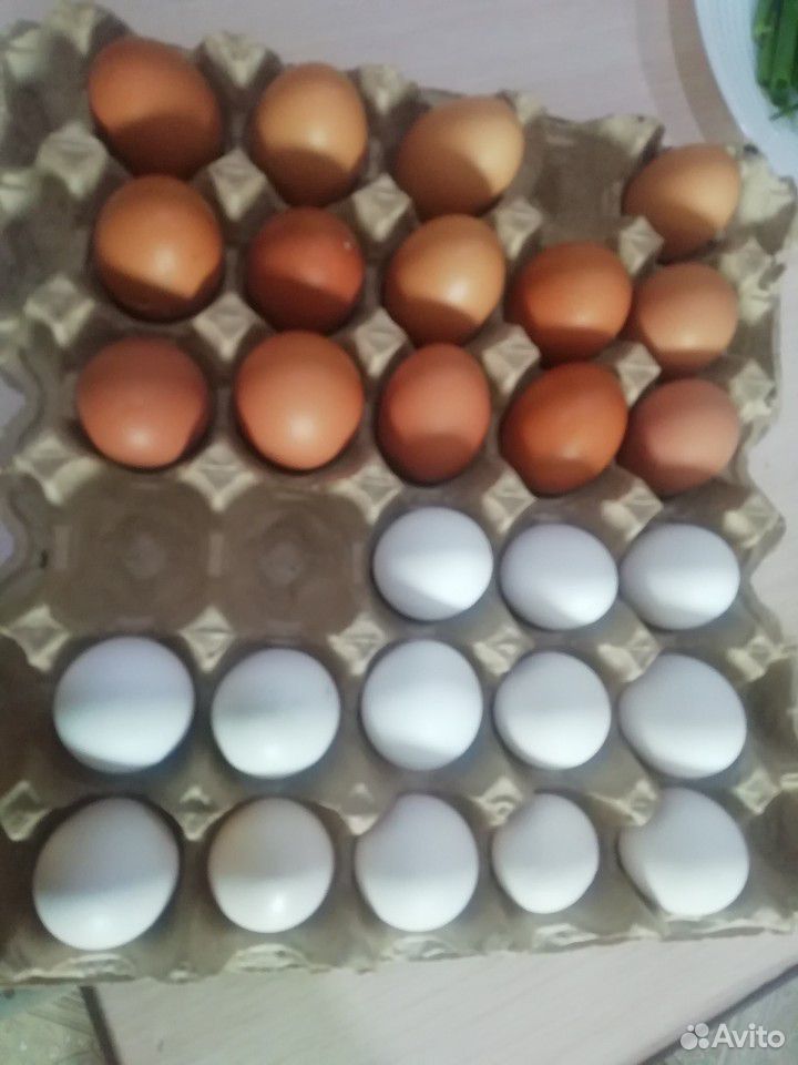 Яйца домашние купить на Зозу.ру - фотография № 1