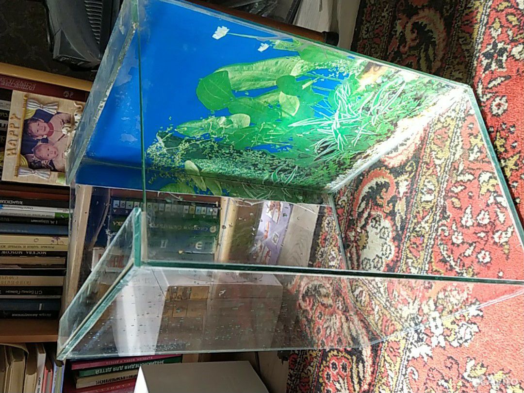 Аквариум стеклянный на 50 литров купить на Зозу.ру - фотография № 2