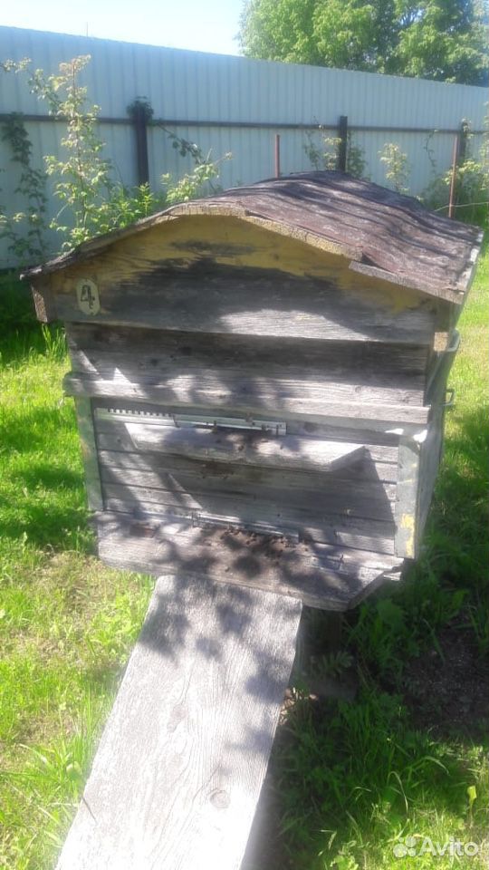 Пчёлы + Улей купить на Зозу.ру - фотография № 2