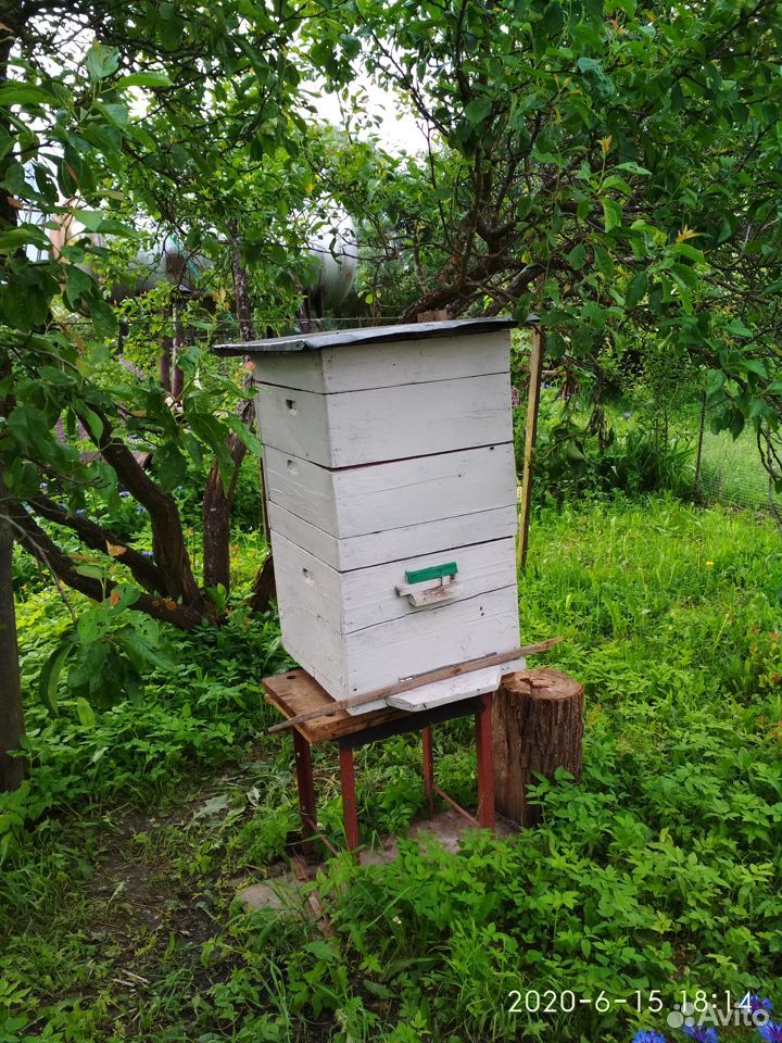 Пчелиные ульи б/у купить на Зозу.ру - фотография № 3