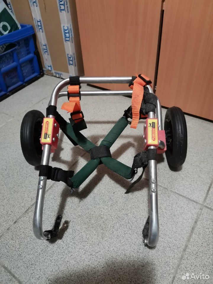 Инвалидная коляска для таксы купить на Зозу.ру - фотография № 3