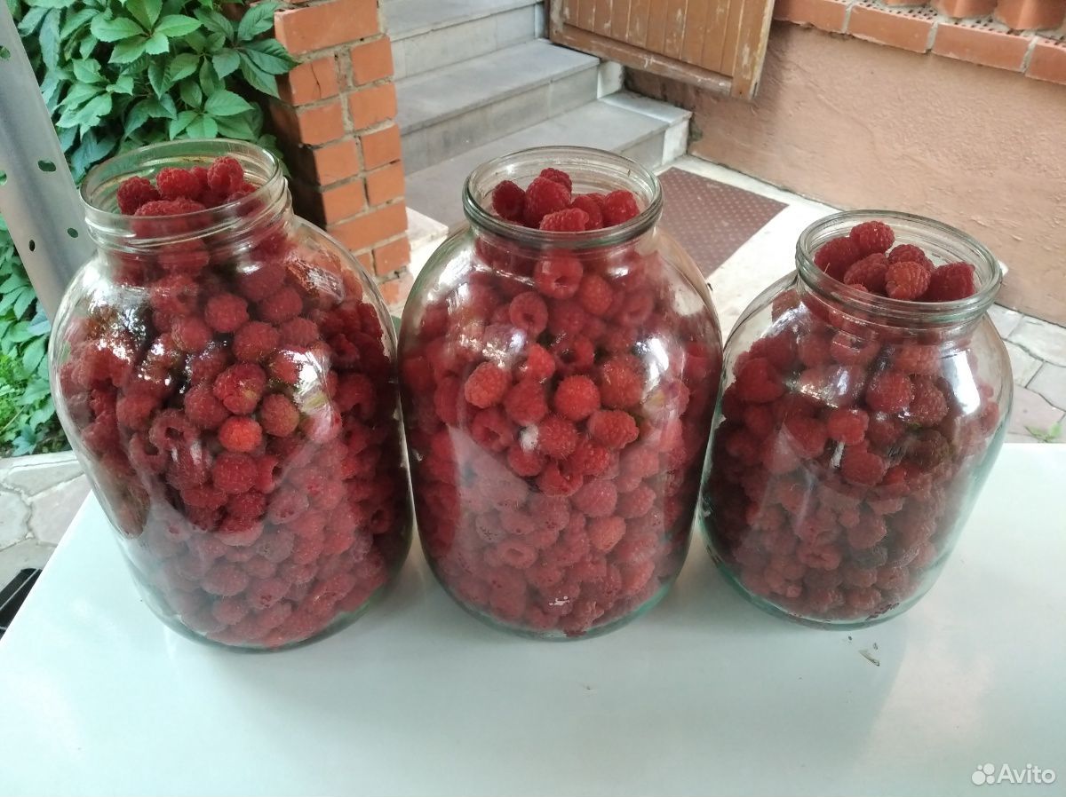 Малина ягоды купить на Зозу.ру - фотография № 3