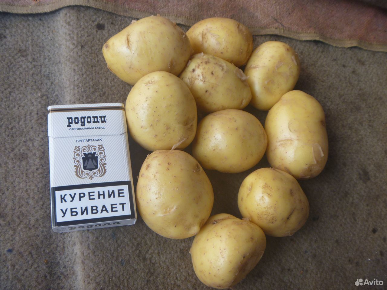 Продам молодой картофель купить на Зозу.ру - фотография № 3