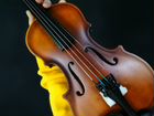 Скрипка Antonio Lavazza VL-28M 1/4 объявление продам