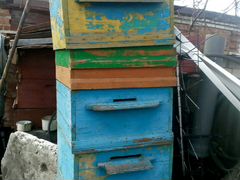 Ульи для пчёл
