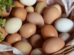 Яйцо инкубационное,цыплята китайская шелковая