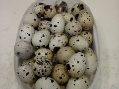 Яйца домашние перепелиные