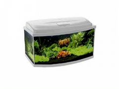Продам аквариум aquael classic LT 60