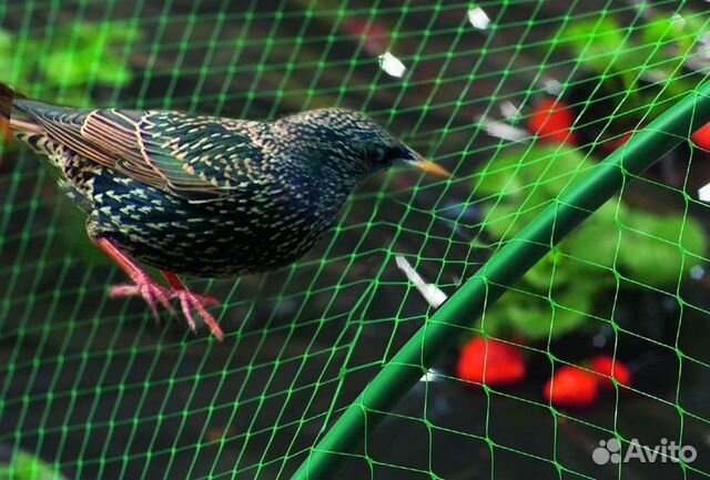 Сетка для защиты урожая от птиц, 2x5 м Greenart