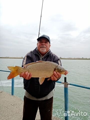 Отдых и рыбалка Дон