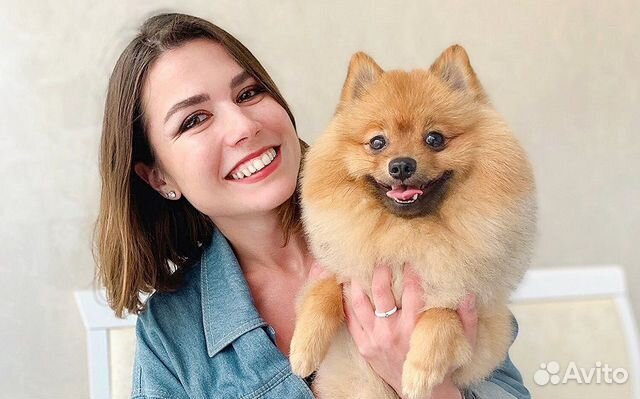 Грумер Стрижка собак и кошек