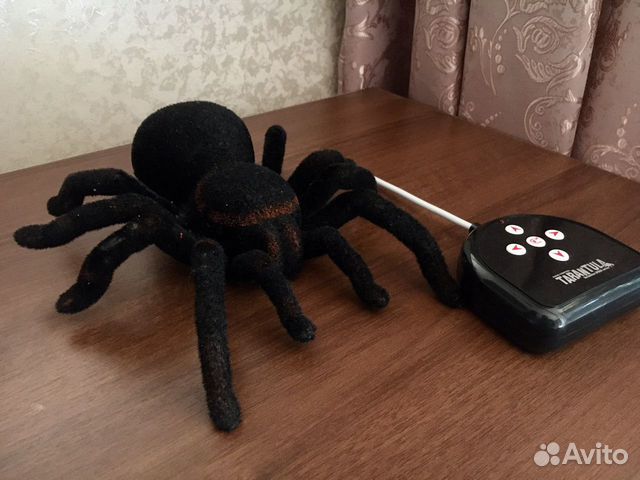 Паук на радиоуправлении