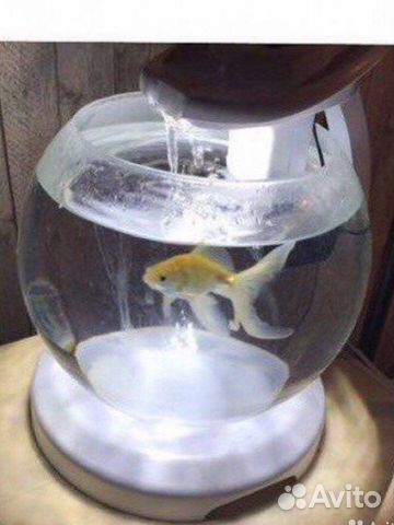 Каскадный аквариум etra Cascade Globe