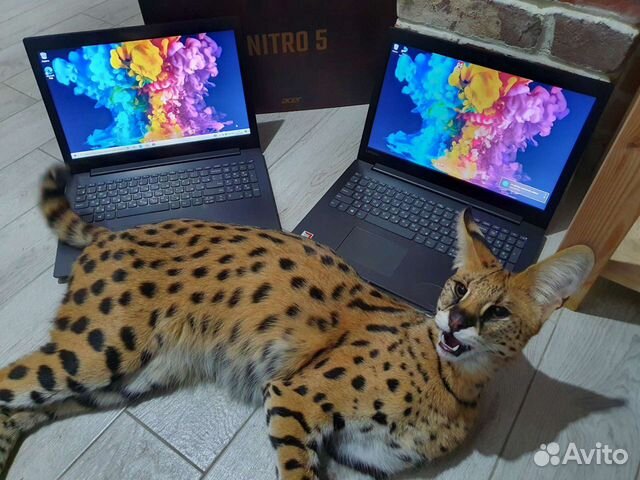 Ноутбук 2020 года с Гарантией для игр