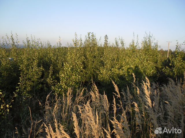 Участок 9.4 сот. (СНТ, ДНП)
