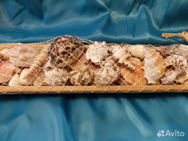 Интерьерное украшение с морскими ракушками