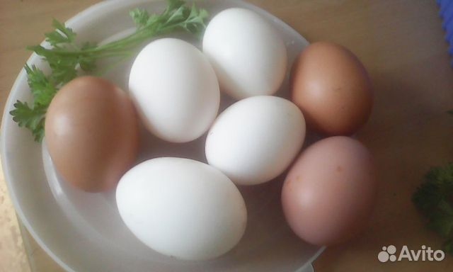 Яйца несушек домашние купить на Зозу.ру - фотография № 2