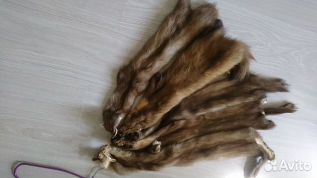 Шкуры енота Шкуры енота