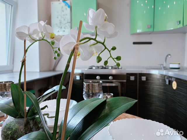 

2-к. квартира, 46,8 м², 3 кровати