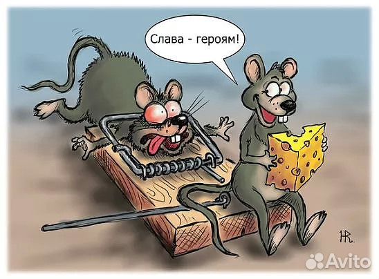 Уничтожение клопов, обработка от клопов Уничтожение клопов, обработка от клопов