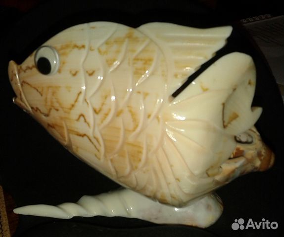 Коралл натуральный, раковина морская Коралл натуральный, раковина морская