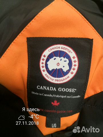 Canada goose Resolute Canada goose Resolute