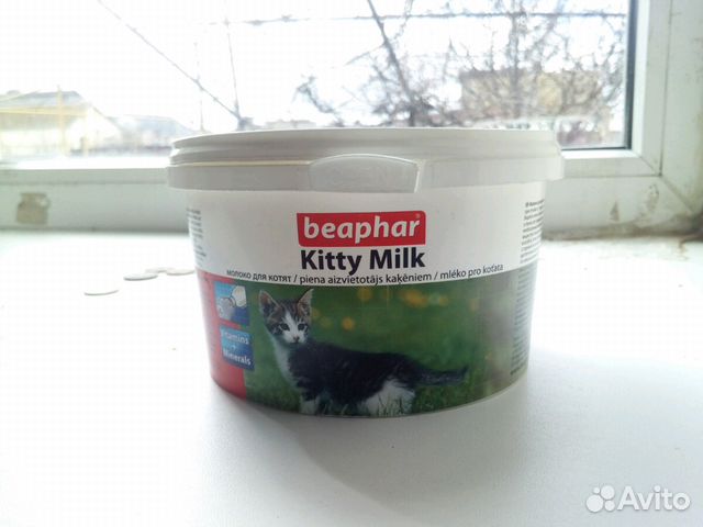 Кошачье сухое молоко и корм для котят