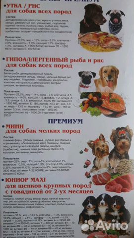 Сухой корм для собак и кошек купить на Зозу.ру - фотография № 1