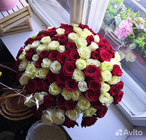 51 Роза 51 Роза