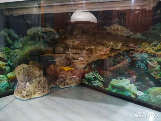 Аквариум 400 литров и 200л Аквариум 400 литров и 200л