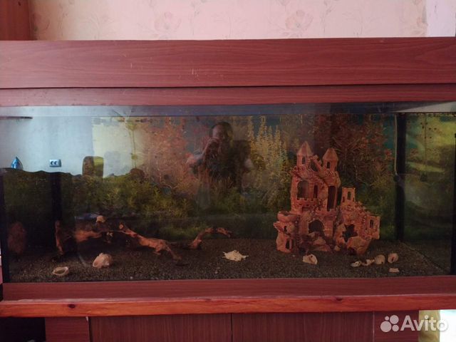 Продаю аквариум купить на Зозу.ру - фотография № 1