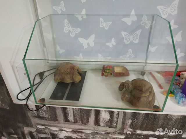 Стеклянный аквариум(террариум) Стеклянный аквариум(террариум)