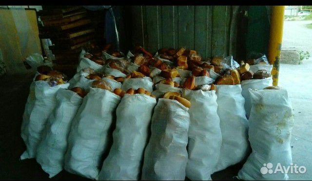 Продам хлеб мешками купить на Зозу.ру - фотография № 1