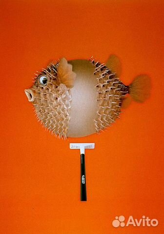 Эффективная лазерная эпиляция Семёновская Эффективная лазерная эпиляция Семёновская