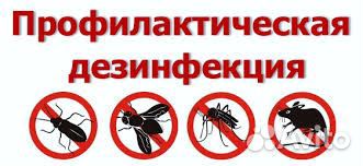 Уничтожение клопов, тараканов, крыс, мышей, клещей