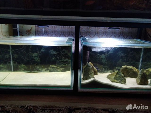Продам два аквариума купить на Зозу.ру - фотография № 1