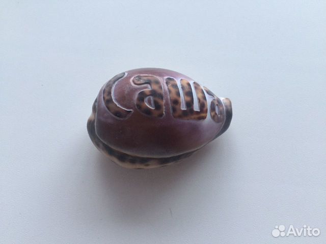 Именная ракушка Саша