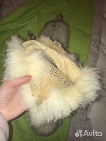 Шкура песца Шкура песца