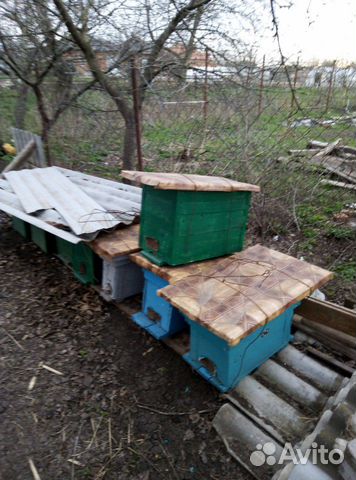 Наклеус ловушка для пчёл купить на Зозу.ру - фотография № 1