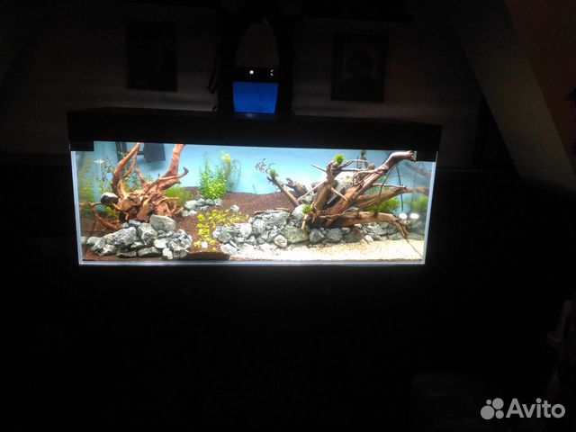 Шикарный аквариум для ценителей прекрасного купить на Зозу.ру - фотография № 7