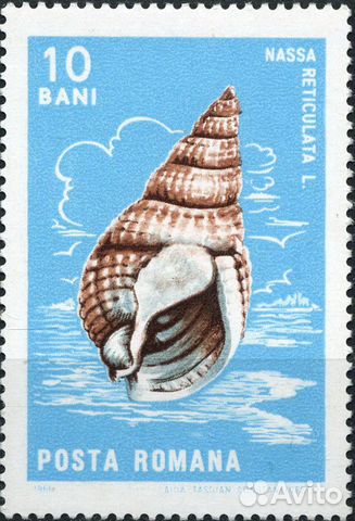 Морская фауна. Румыния 1966 г Морская фауна. Румыния 1966 г