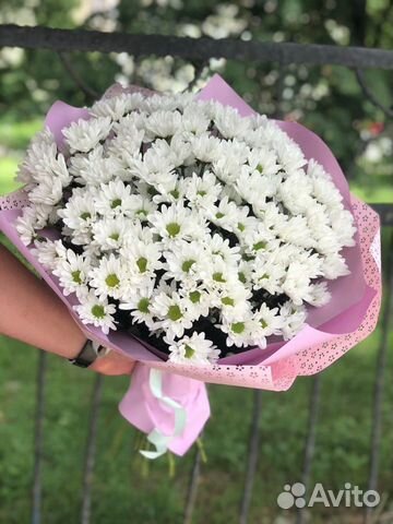 Хризантема кустовая.Букет цветов. Хризантема 15,25