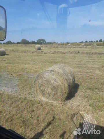  Sell hay 